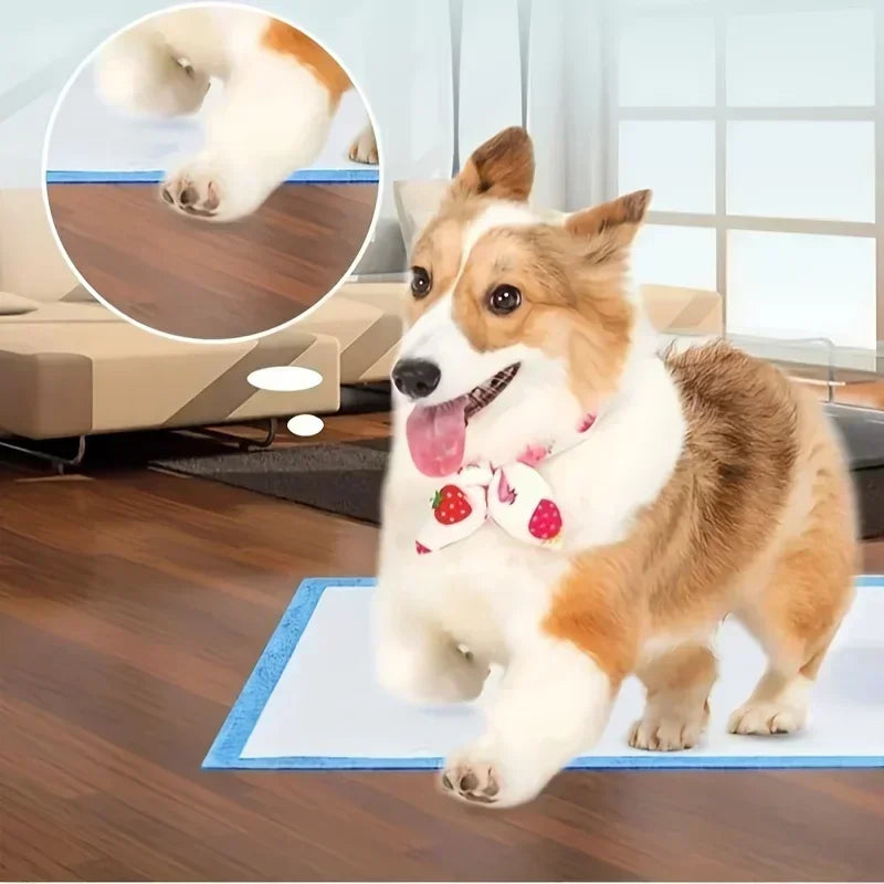 40/50/100/200pcs Super Absorbent Odor-Control Disposable Dog Training Pads-Pet Grooming