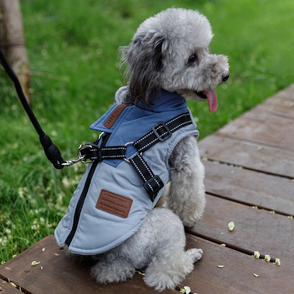 Winter Pet Dog Jacket With Harness Leash- Warm Dog Clothes- Sizes S-2XL-Costumes/Apparel