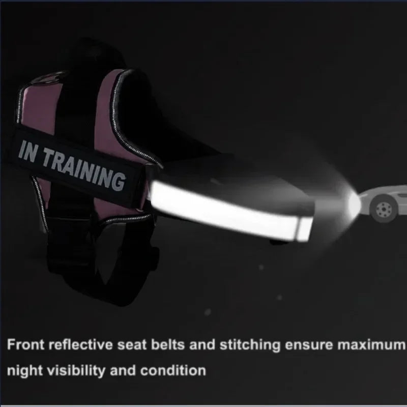 Dog Collar Harness ID Custom Patch-Reflective- Breathable No Pull Vest- Sizes XS to 2XL-Collars/Leashes