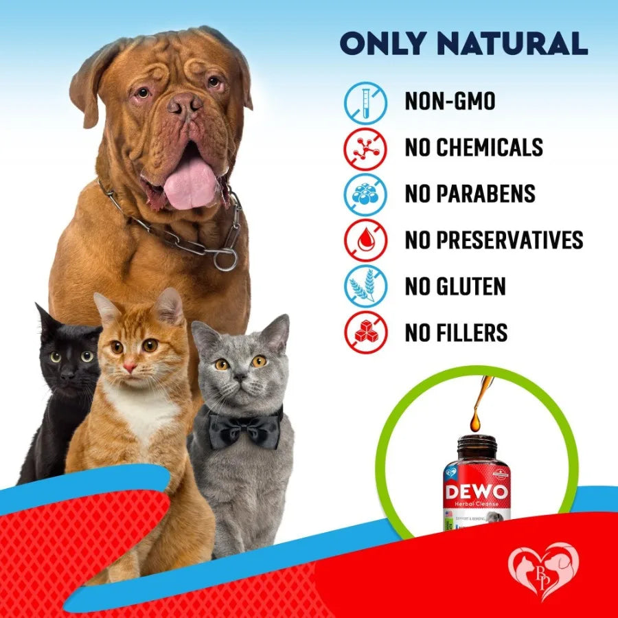 Dogs Cats and Dogs Liquid Herbal Medicine and Natural Broad Spectrum Treatment for Tapeworm Whipworm Roundworm and Hookworm Prevention