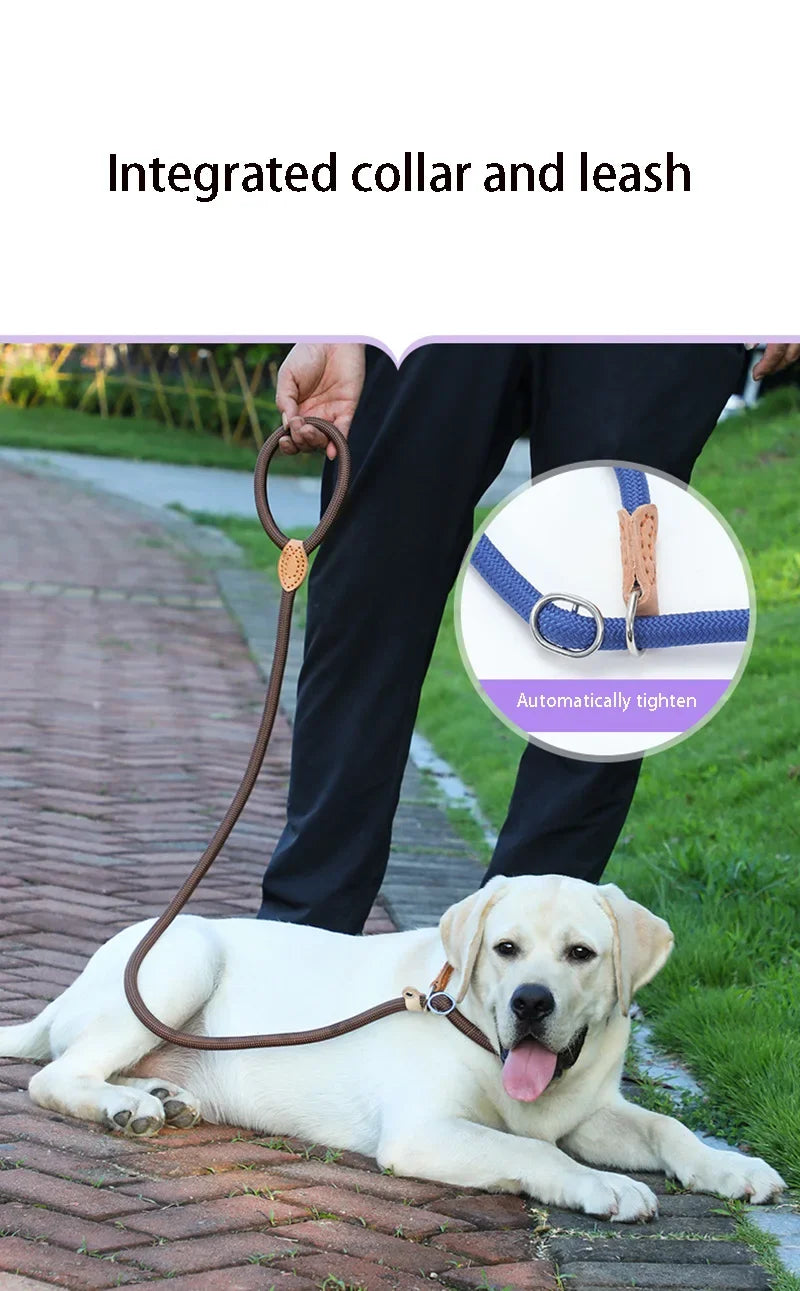 Slip Rope Lead Leash- Heavy Duty Braided Rope- Adjustable Loop Collar- Training Leashes for Small to Medium  Dogs-Collars/Leashes