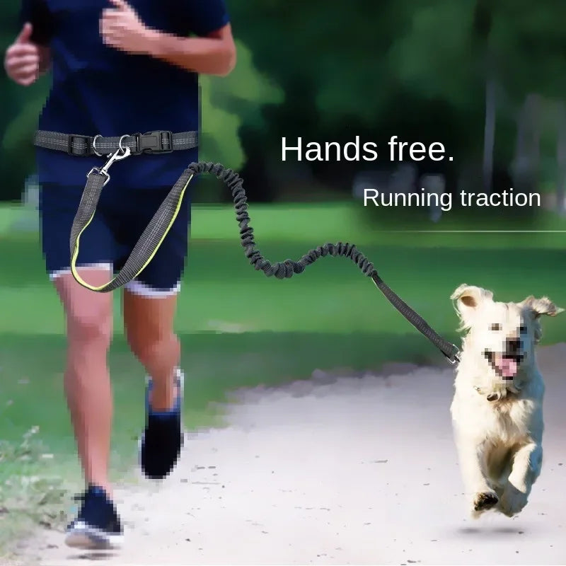 Hand Free Dog Leash for Pet Walking Running Jogging- Adjustable Dog leash- Waist Belt -Chest Strap Traction Rope