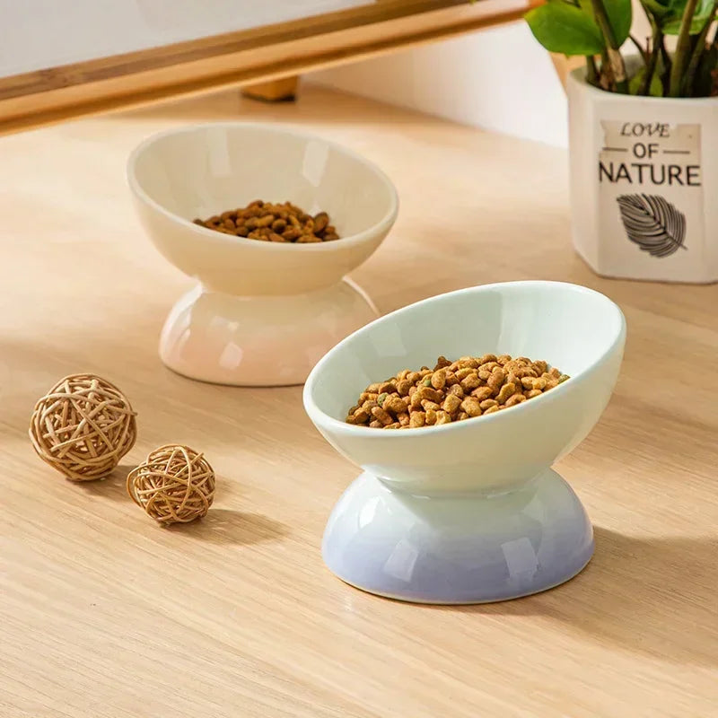 Tilted  Puppy Food  Feeders- Gradient Ceramic- Raised Eating Pet Dogs Drinking or Feeding- Small