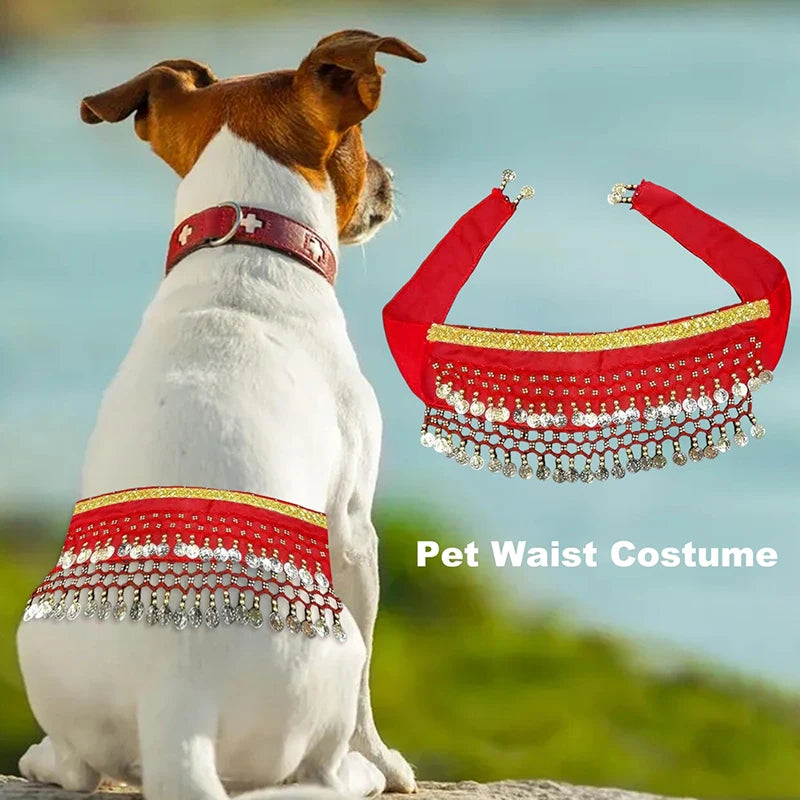 Corgi Belly Dance Hip Towel- Decorative Belt- Dog Skirt-Costumes/Apparel