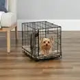 Dog Crate, Includes Leak-Proof Pan, Floor Protecting Feet