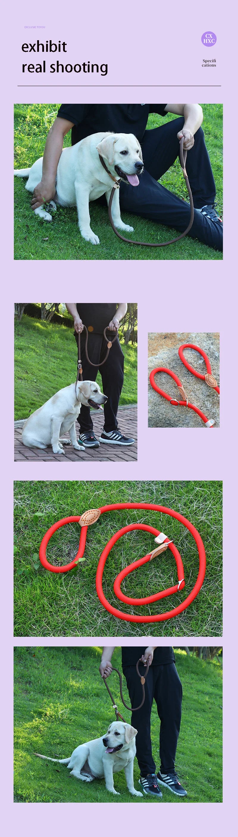 Slip Rope Lead Leash- Heavy Duty Braided Rope- Adjustable Loop Collar- Training Leashes for Small to Medium  Dogs-Collars/Leashes