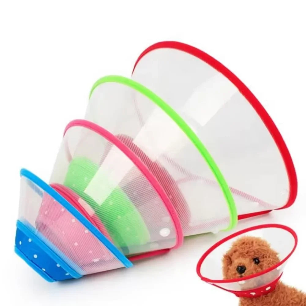 1Pc Cute Design Pet Cones-Adjustable- Comfortable- Recovery Martingale collar-Collars/Leashes