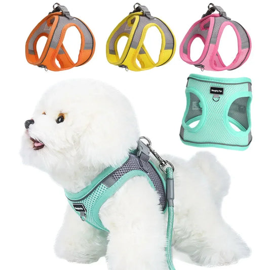 Dog Harness Set for Small Dogs- Adjustable- Harness Vest -French Bulldog- Chihuahua- Pug-all Small Breeds-Collars/Leashes
