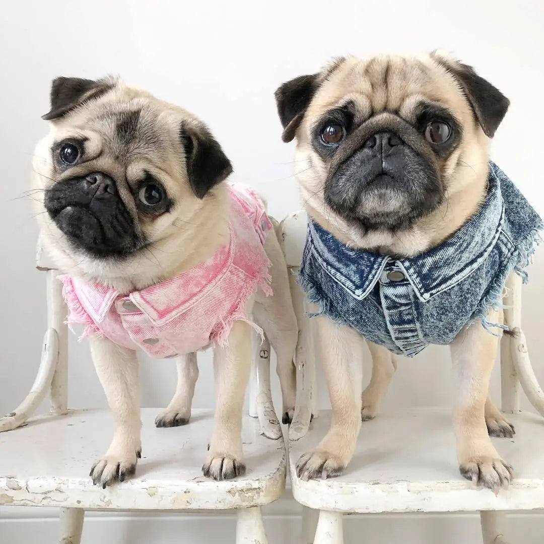 Dog Denim Vest Jacket-Sizes S-3XL-Costumes/Apparel