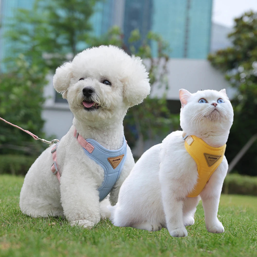 Newest Dog Harness/Leash Set-Adjustable Pet Harnesses Chihuahua Poodle Bichon-Sizes XS to L-Collars/Leashes