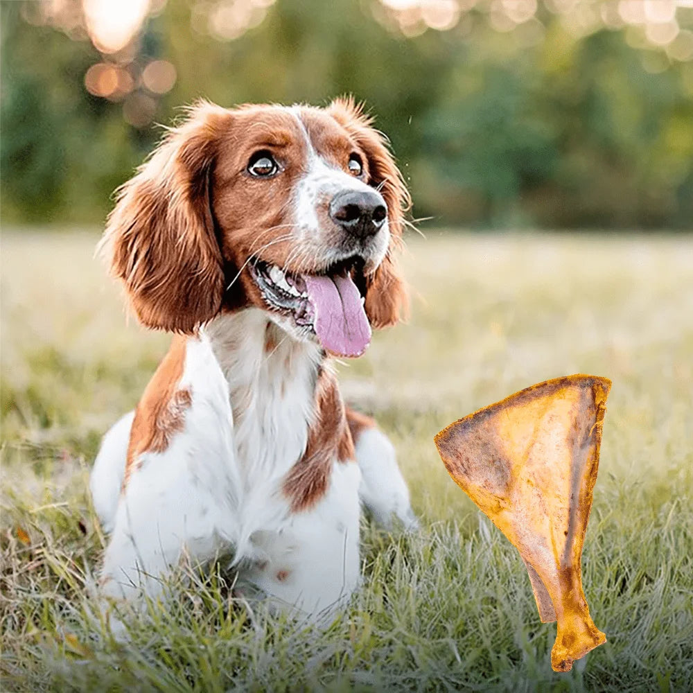 1/2 Pack x 60-90g Lamb Fan Bone- Natural Dog Treats and  Ingredients- Healthy- Easily Digestible-Long Lasting-Pet Bowls/Feeding