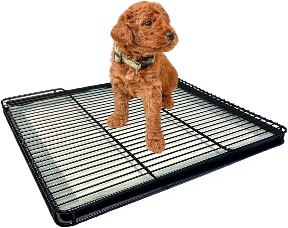 Puppy Potty Tray – 22x22 Shred-Proof Heavy-Duty Training Tray for Puppies & Small Dogs-Easy-Clean- Indoor Dog Pee Pad Holder