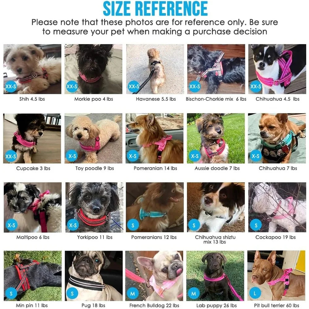 Soft Padded Dog Harness Leash Set -Adjustable Reflective Vest Small Dogs- Quick Fit Neck Chest Safe- Walking 4ft Leash