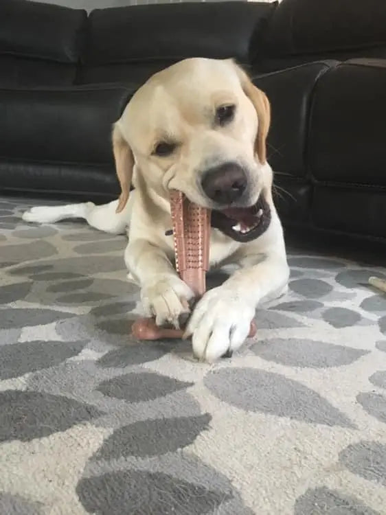 Dog Chew Toys- Durable Oral Care Dog Chews - Keep Teeth Clean-Teething-Dog Toys