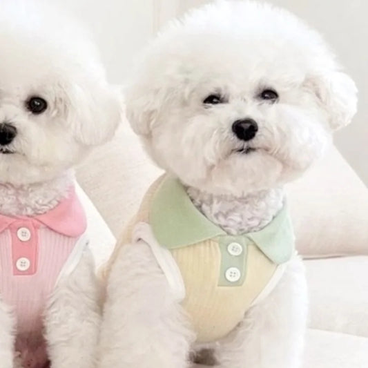 Dog Polo Shirt -Fashion Dog Clothes -Breathable Vest- Solid Color T-Shirts-Small Breeds