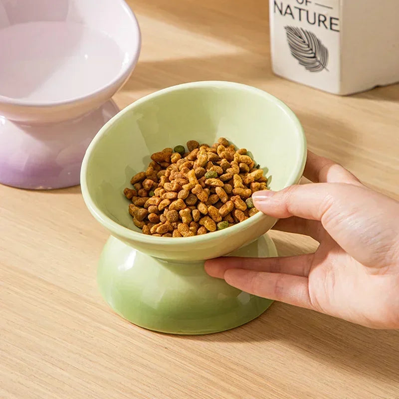 Tilted  Puppy Food  Feeders- Gradient Ceramic- Raised Eating Pet Dogs Drinking or Feeding- Small