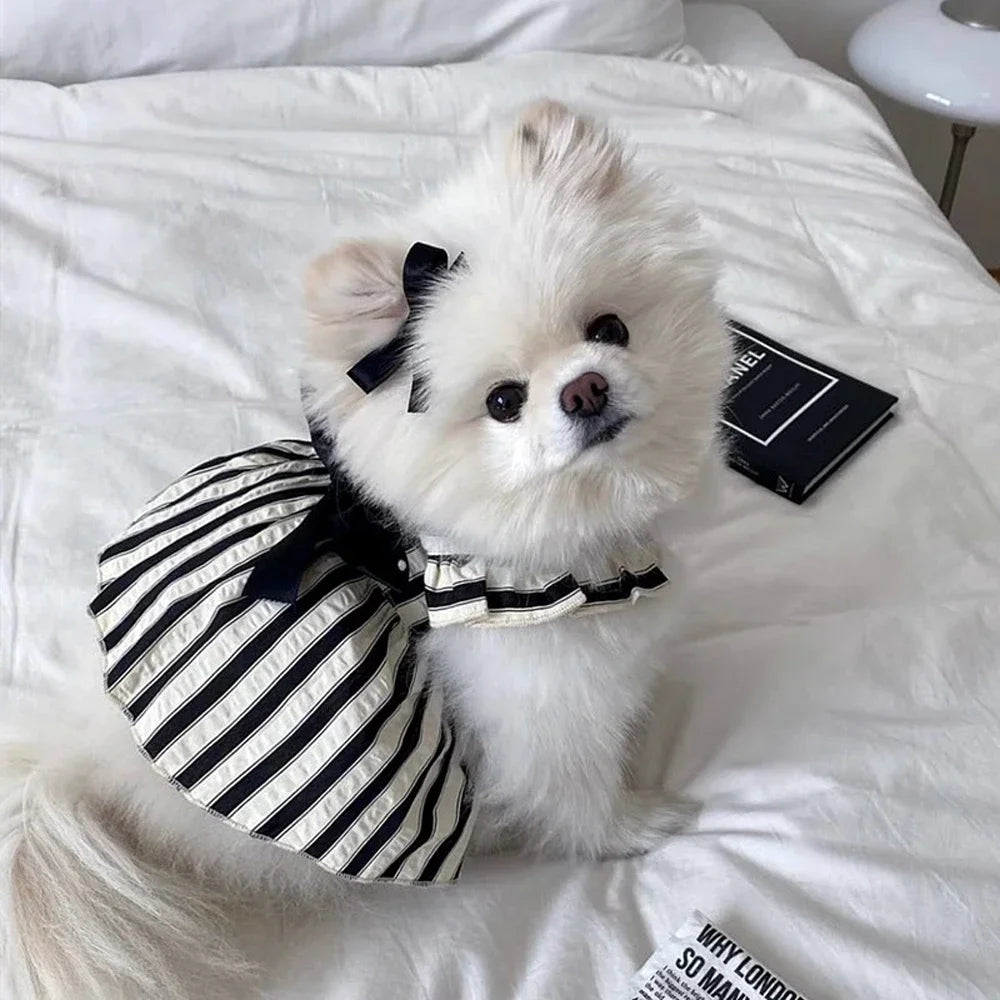 BLack/White Striped Dog Princess Dress-with Bow-Small Dogs-Costumes/Apparel