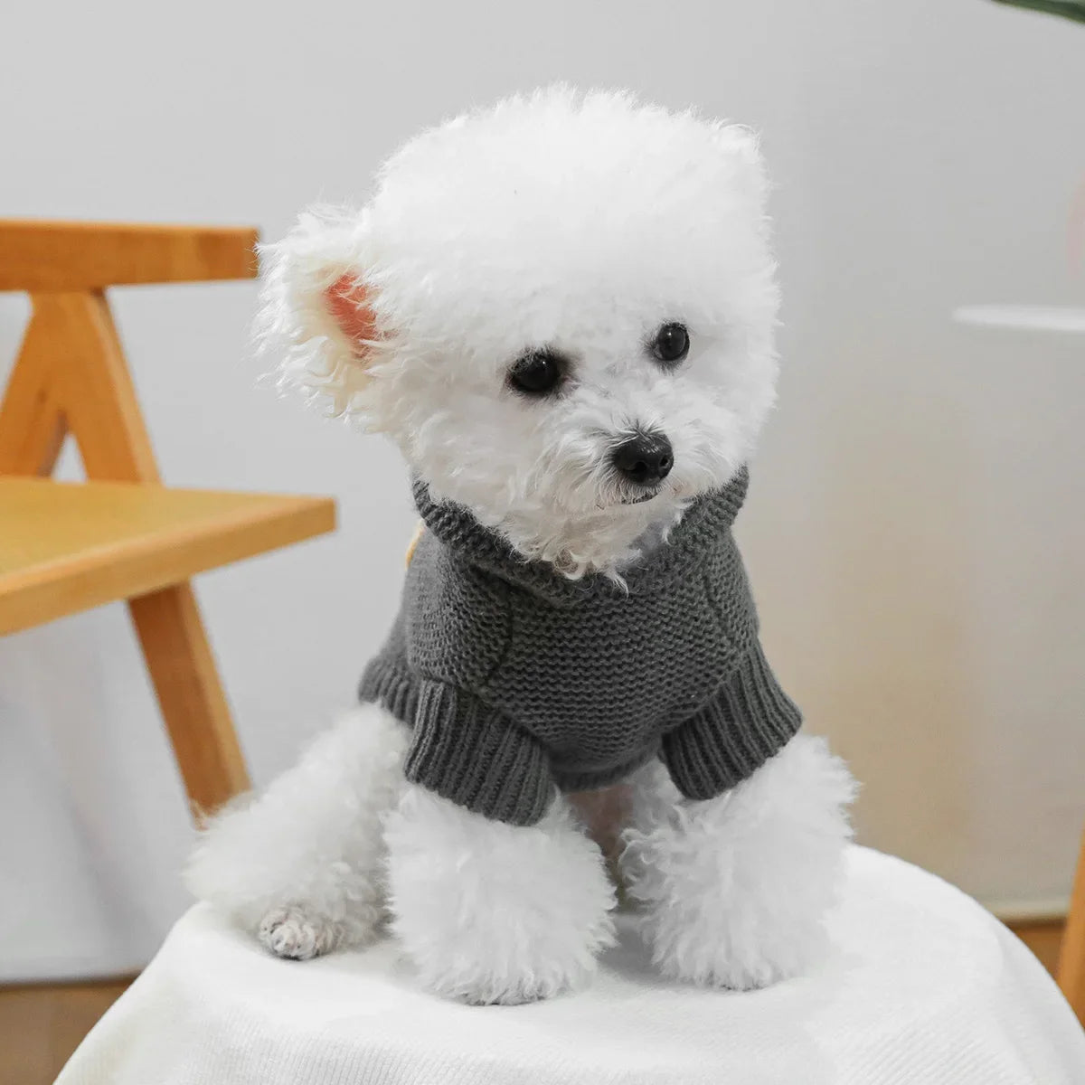 Dog 1PC Nordic Starfish Sweater - Dark Gray Pet Clothes - Hooded Sweater Autumn Pullover