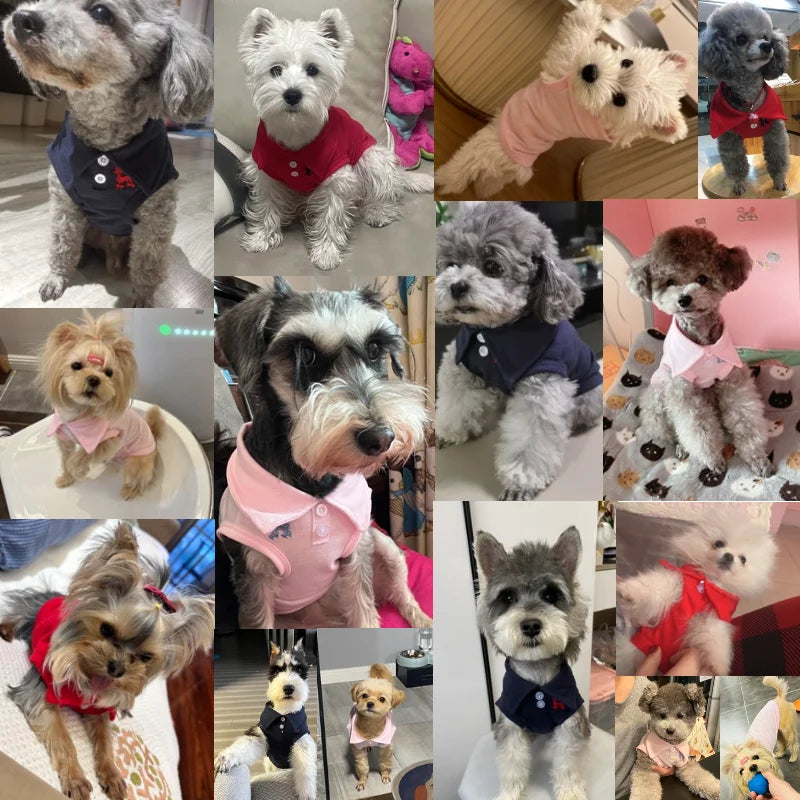 New Summer Dog Polo Shirt- Cool Clothes- Soft- Breathable- Sizes XS to 2XL-Costumes/Apparel