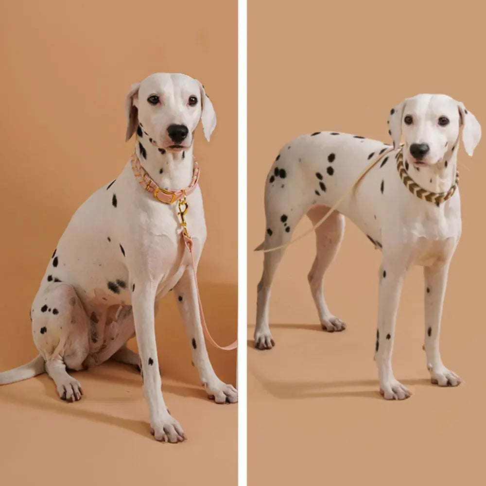 Handmade Knitted Design Colorful Reflective Dog Collar-For S M L Dogs-Collars/Leashes