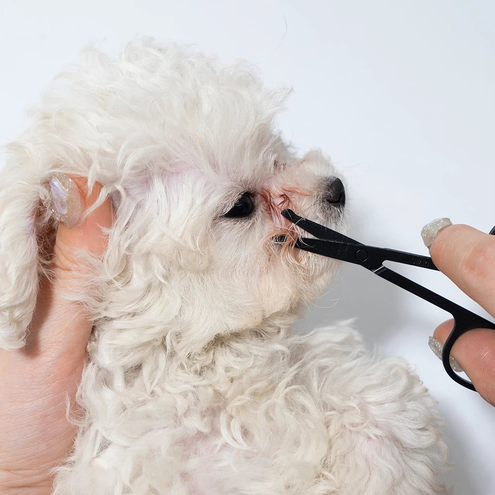 Pet Facial Cleaning Comb Set- Removes Tear Stains- Eye-poop -Pet Grooming