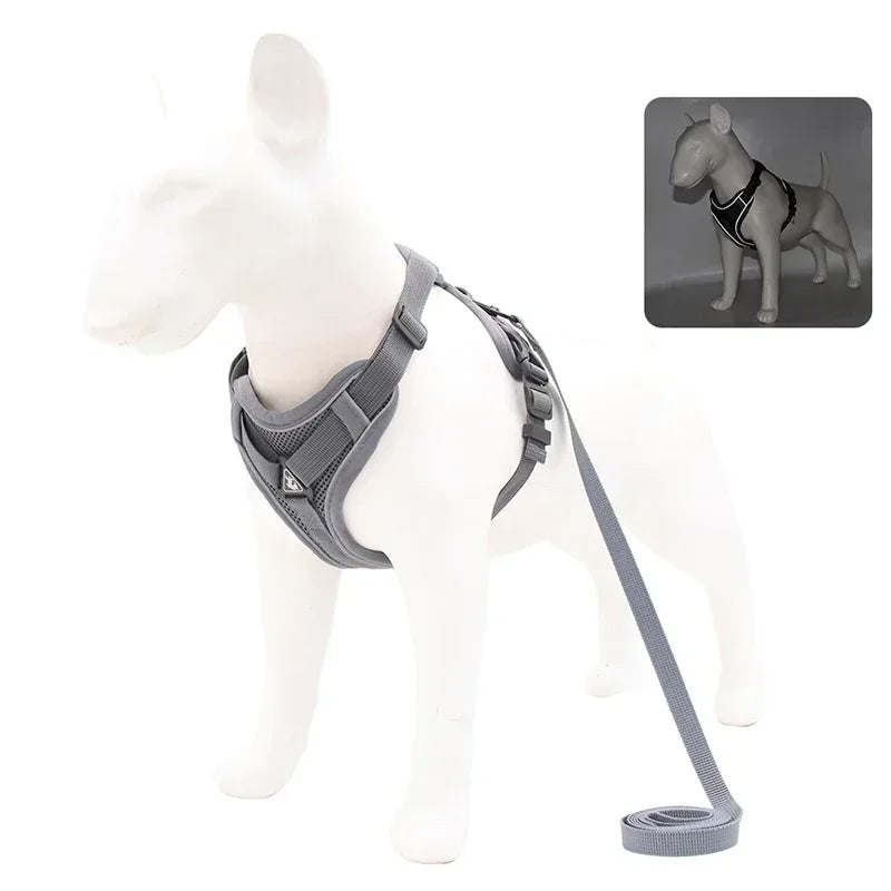 No Pull Dog Harness and Leash Set -Adjustable- Harness Vest- Sizes S to XL-Collars/Leashes