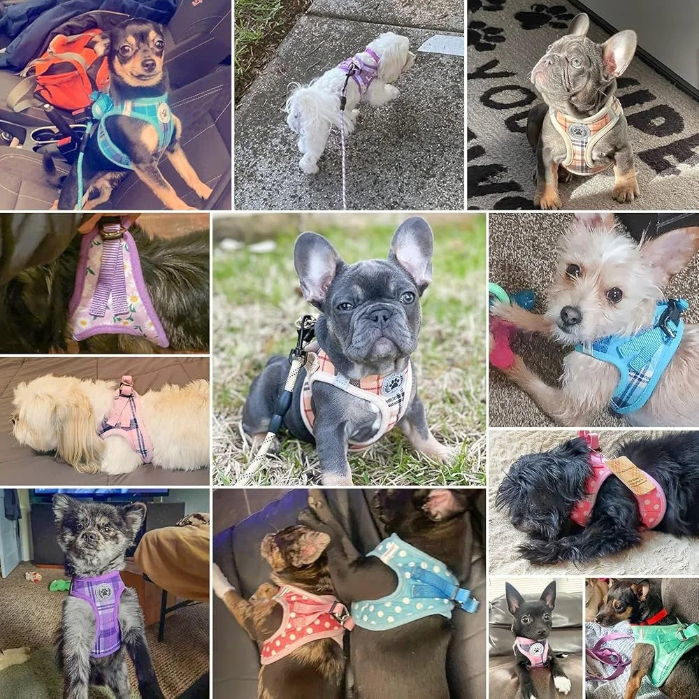 Floral Dog Harness and Leash Set- No Pull No Choke Escape Proof -Step In Vest Padded Handle Lightweight Durable Breathable Small
