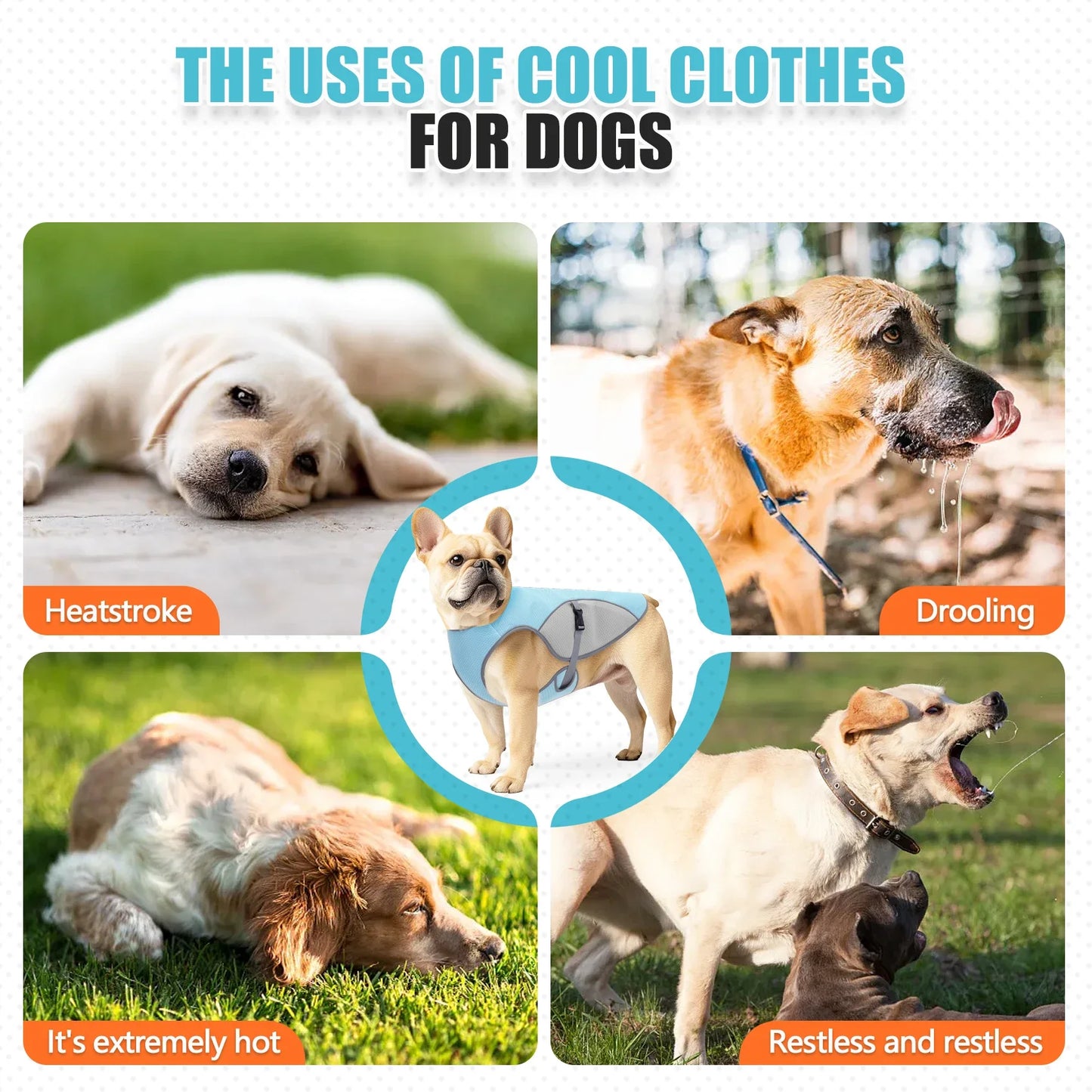 Dog Cooling Vest- Dog Harness Cooler Jacket with Portable Water Bottle for Walking Dog- Outdoor Camping and Hunting Training-Sizes S to 3XL-Costumes/Apparel