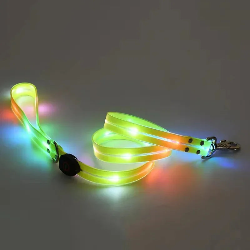 LED Light-Up Dog Leash- Walking- Safety- Glow in The Dark- USB Rechargeable- Adjustable- for Large Medium Small Pet Lighted Dog Collar
