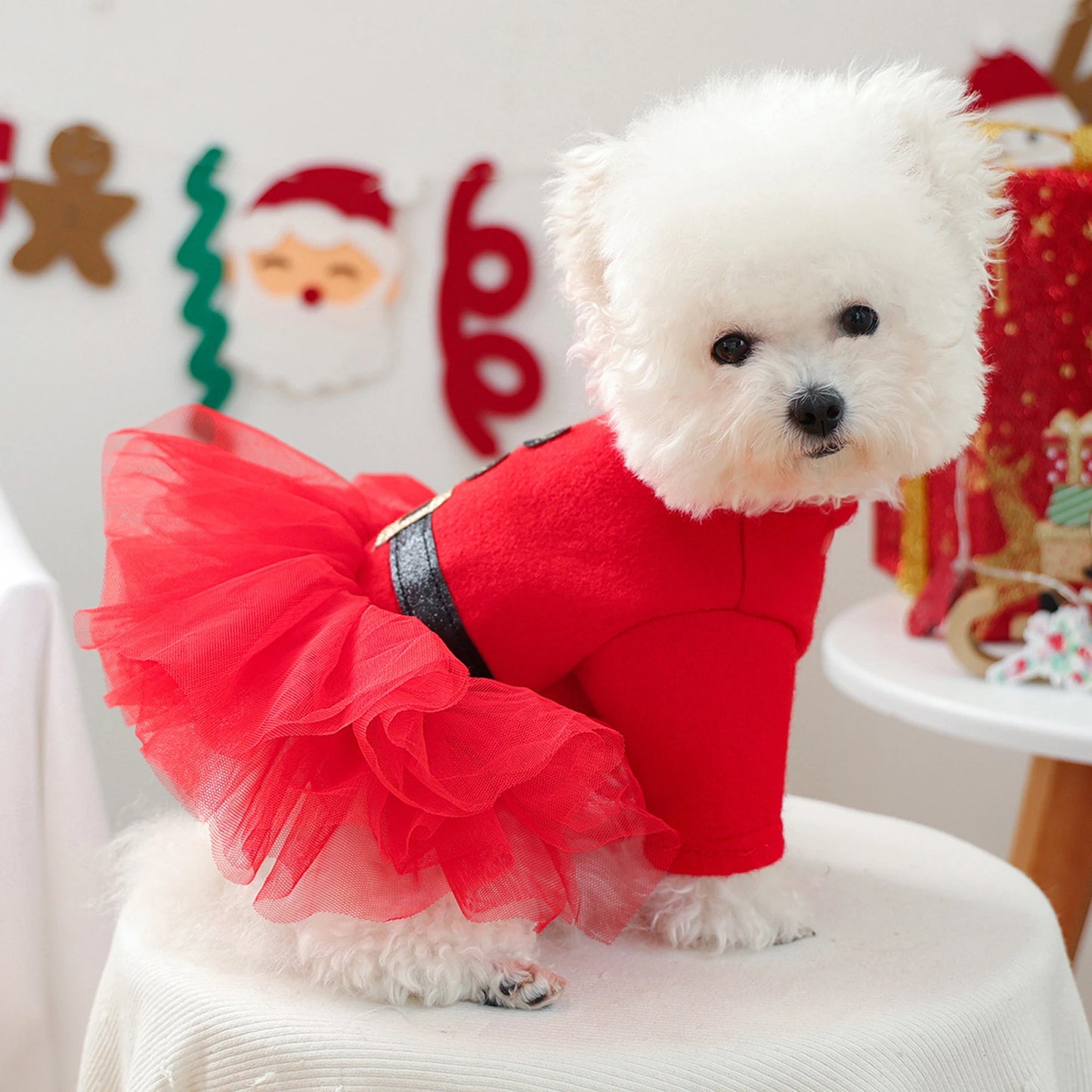 Dog Christmas Dress- Snap Button -Santa Claus Dress -for Small Dogs