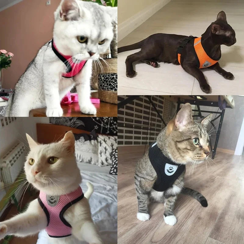Dog Harness Walking Lead Leash-Polyester- Adjustable Mesh-sizes S to XL-Collars/Leashes