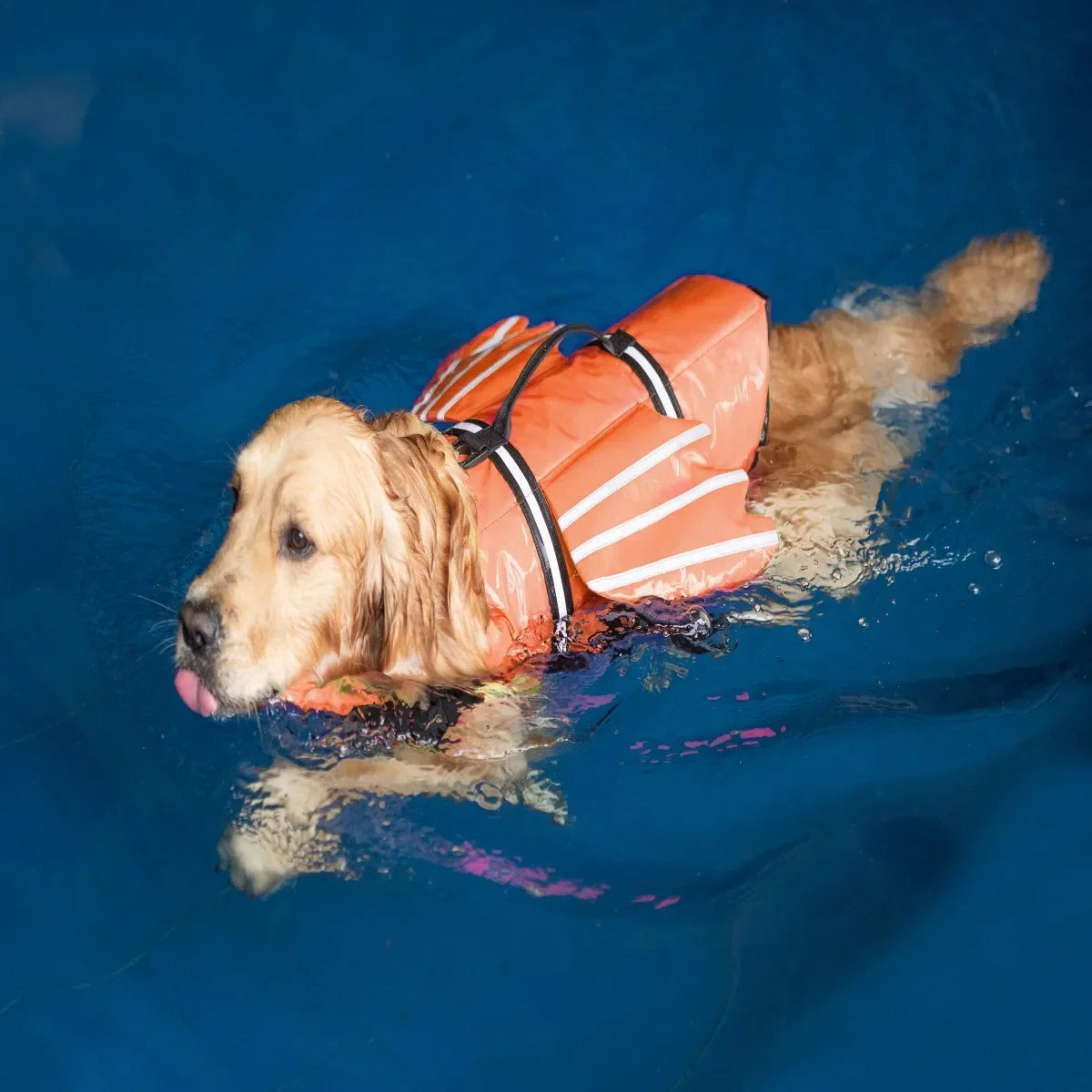 Dog Life Jacket- Reflective- Adjustable- Swimwear Safety Vest -Buoyancy Pet Life Jacket-Pet Accessories