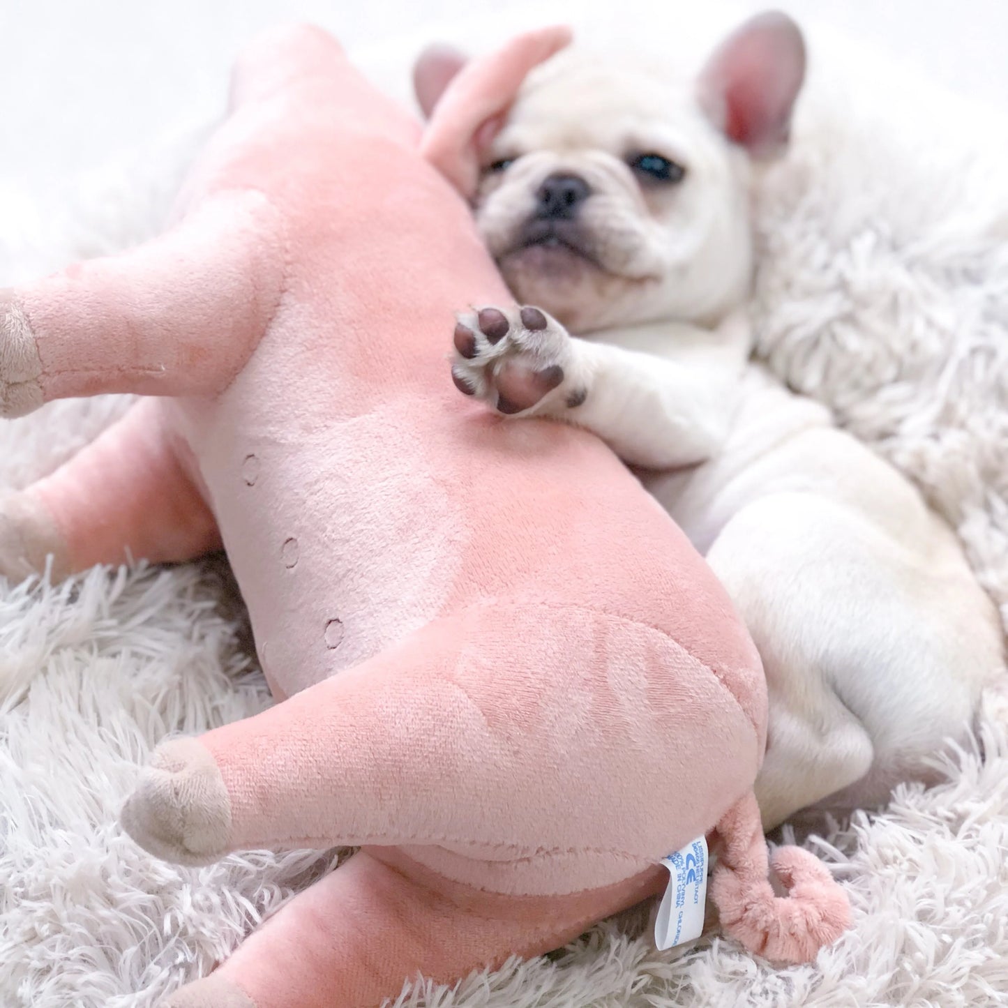 Plush Pig Toy for Small Dogs- Dog Accompanying Sleeping Toys-Dog Toys