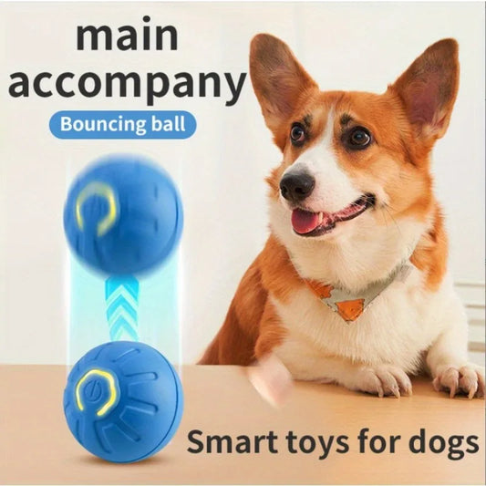 New Gravity Intelligent Jumping Ball Electric Charging Cat and Dog Toy Self Hit Pet Dog Toy Ball