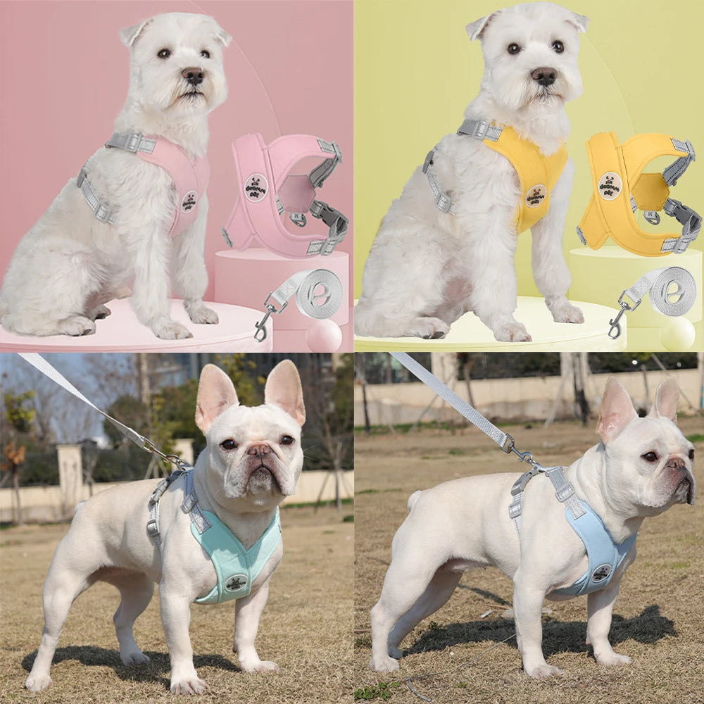 Dog Harness Leash Set- Breathable Chest Strap -Reflective- Vest Harness for Small/ Medium Dogs-Collars/Leashes