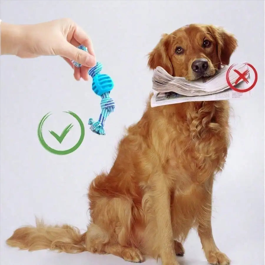 1pc Cotton Rope Knot Dog Chew Toy With Spiky Rubber Ball- Durable Teething Aid- Great For Puppies- Teeth Cleaning Molar Stick For Small Medium Dogs-Oral Health Care-Dog Toys