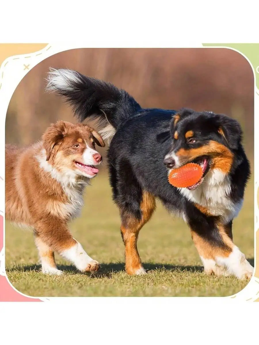 4.5 Inch Spiked Chew Ball-Squeaky- Dog Toys