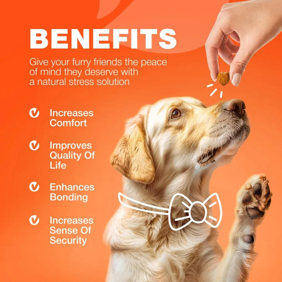 Glucosamine for Dogs Hemp Hip and Joint Supplement for Dogs Glucosamine Chondroitin Chews with MSM Turmeric Collagen for Mobility