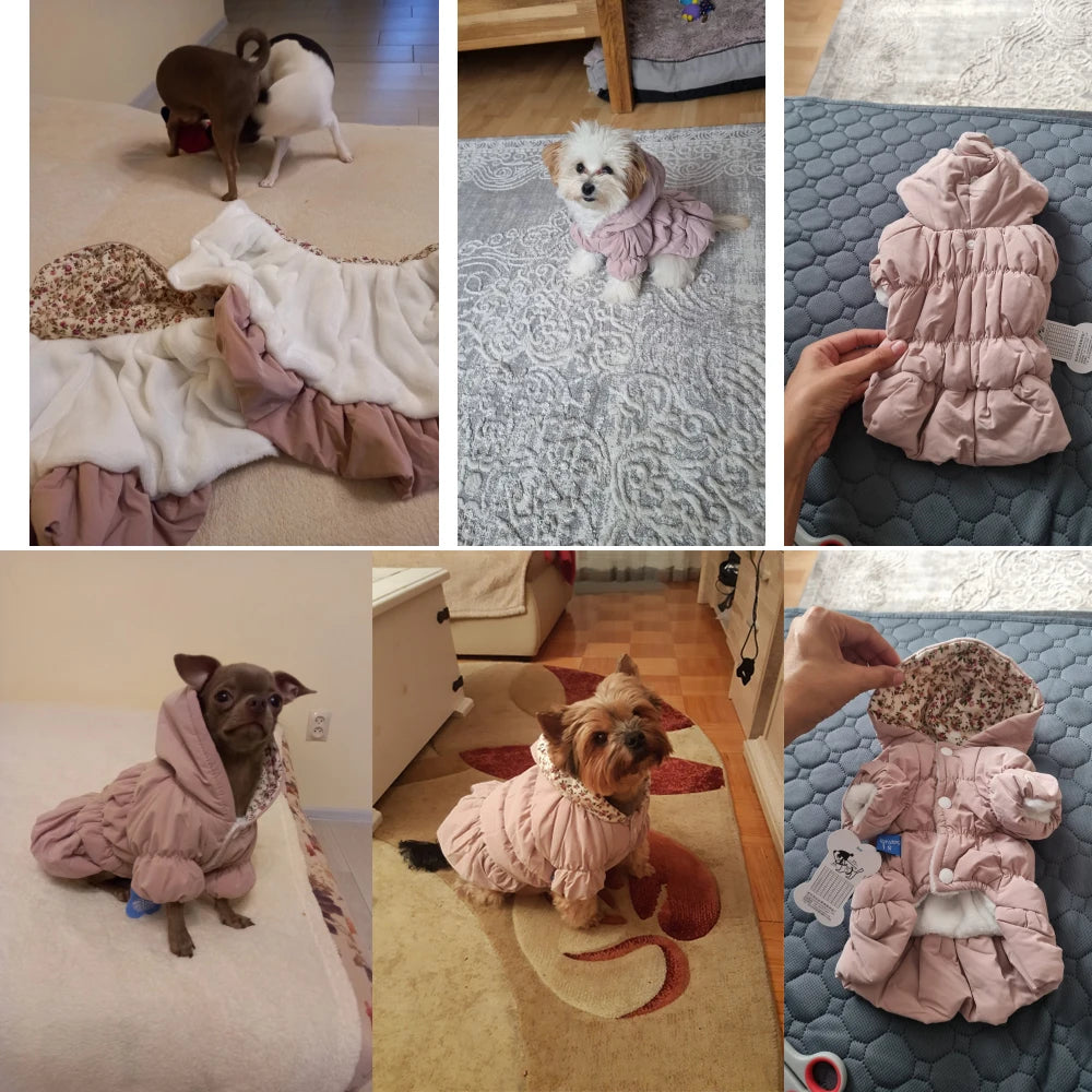 Winter Warm Dog Dress- Princess Bubble Skirt-Hooded Jacket-Costumes/Apparel