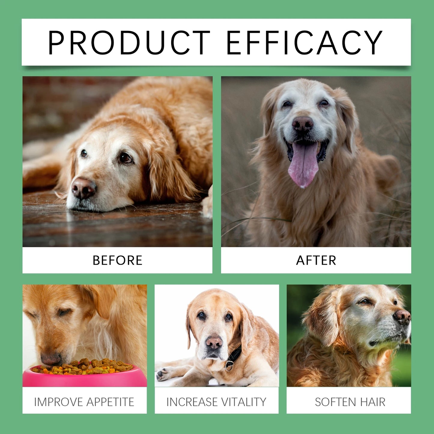 Senior Dog Multivitamin Tablets Nutrition- Promote Pet Metabolism- Boosting Immunity -Keep Healthy Vitamins Supplement- 80 Tablets-Pet  Grooming