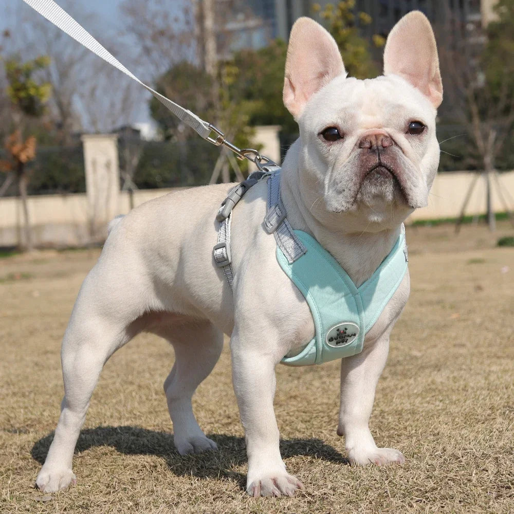 Dog Harness Leash Set- Breathable Chest Strap -Reflective- Vest Harness for Small/ Medium Dogs-Collars/Leashes