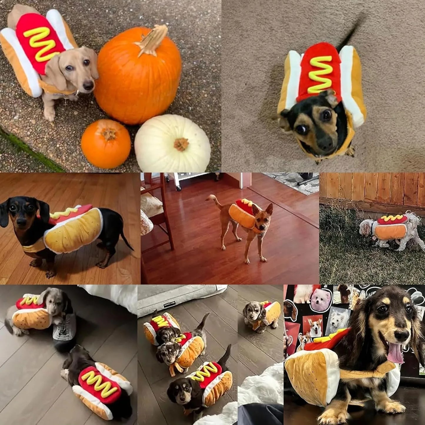 Cute Dog Costumes- Hot Dog Shaped Dachshund Sausage- Adjustable Clothes- Pet Apparel Dressing-Up-Sizes SML-Costumes/Apparel
