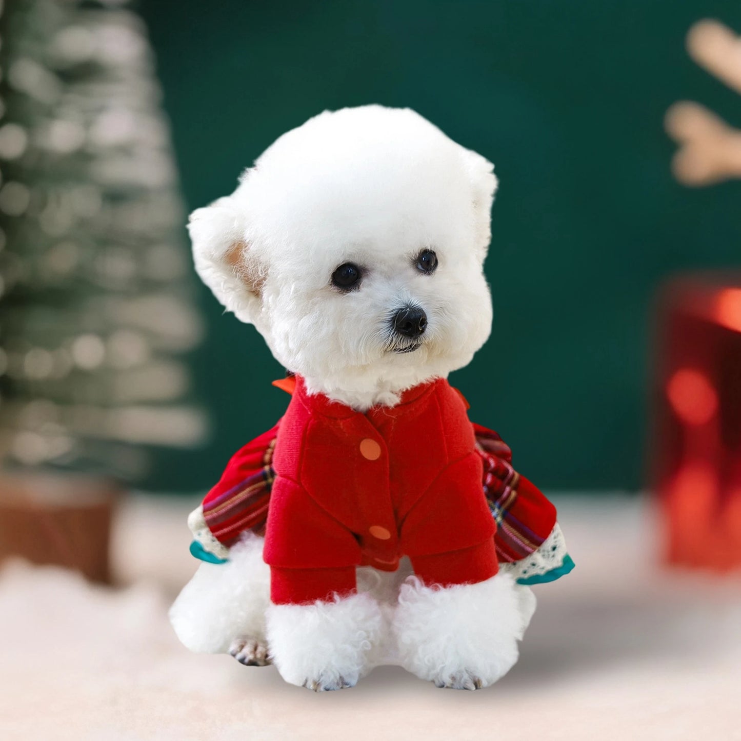 Cute Christmas Dog Dress with Santa Hat/ Jingle Bell Collar- Festive Pet Holiday Outfit for Small Dogs-Costumes/Apparel