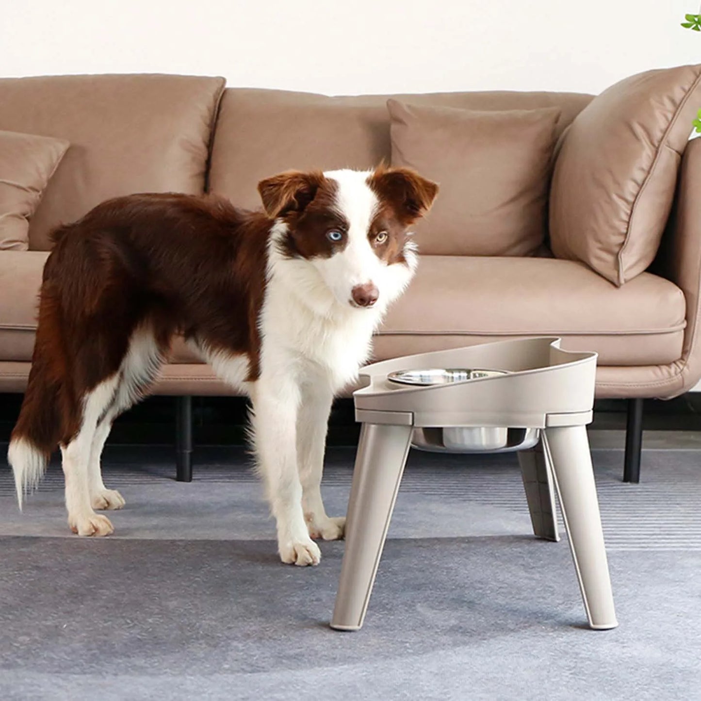 Raised Stand Elevated Dog Feeder- Non-Slip and No Spill Design Bowls- Suitable for Improve Posture and Comfort