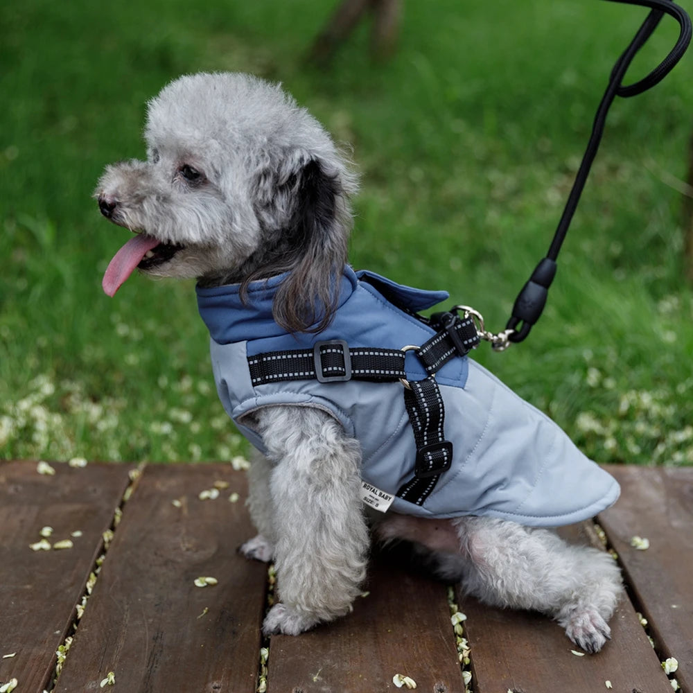 Winter Pet Dog Jacket With Harness Leash- Warm Dog Clothes- Sizes S-2XL-Costumes/Apparel