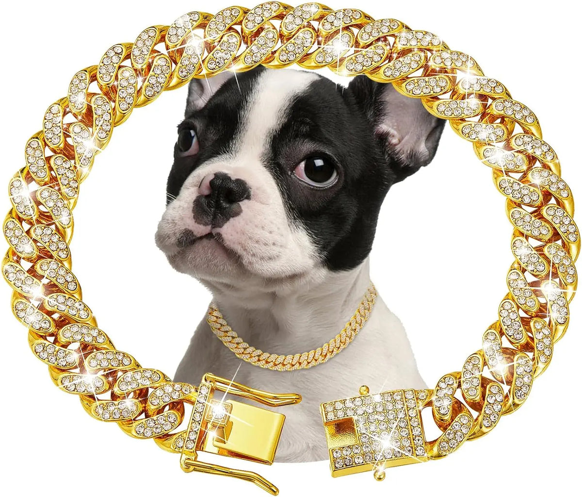 Dog Chain Collar- Luxury Gold Pet Metal Chain Collar-Sizes SML-Collars/Leashes