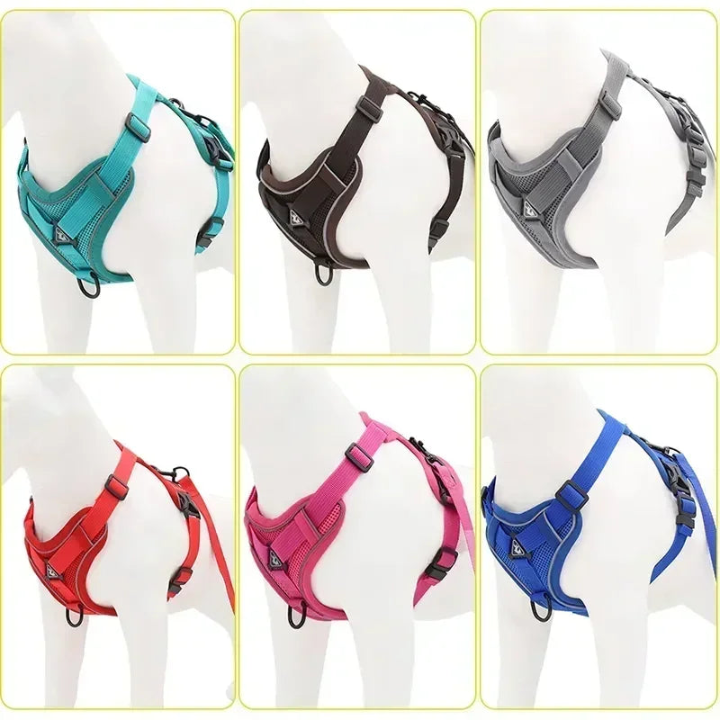 No Pull Dog Harness and Leash Set -Adjustable- Harness Vest- Sizes S to XL-Collars/Leashes