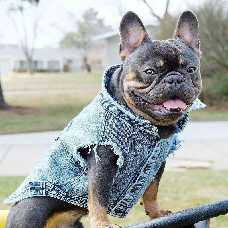 Dog Denim Vest Jacket-Sizes S-3XL-Costumes/Apparel