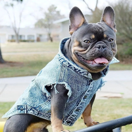 Dog Denim Vest Jacket-Sizes S-3XL-Costumes/Apparel
