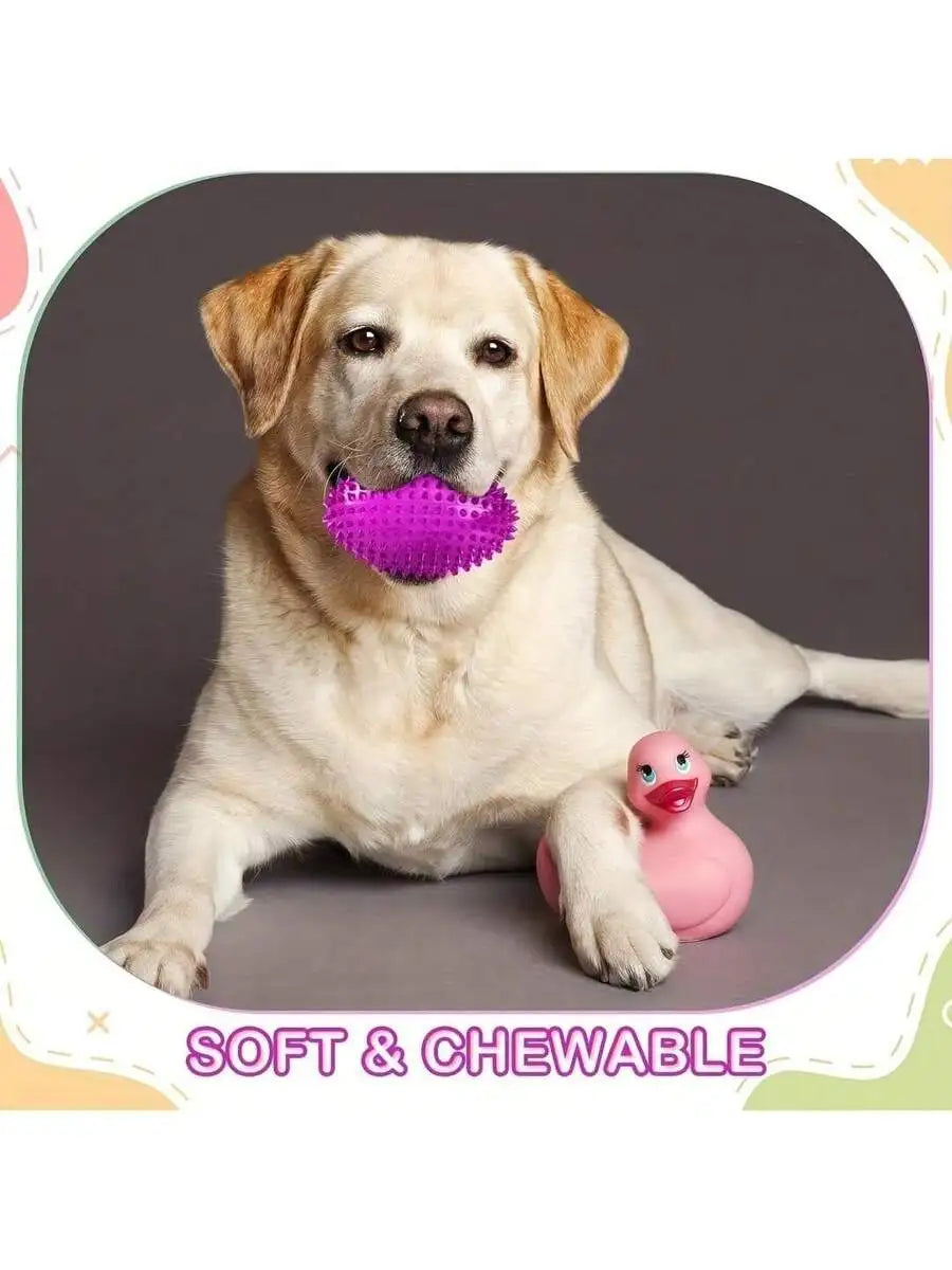 4.5 Inch Spiked Chew Ball-Squeaky- Dog Toys